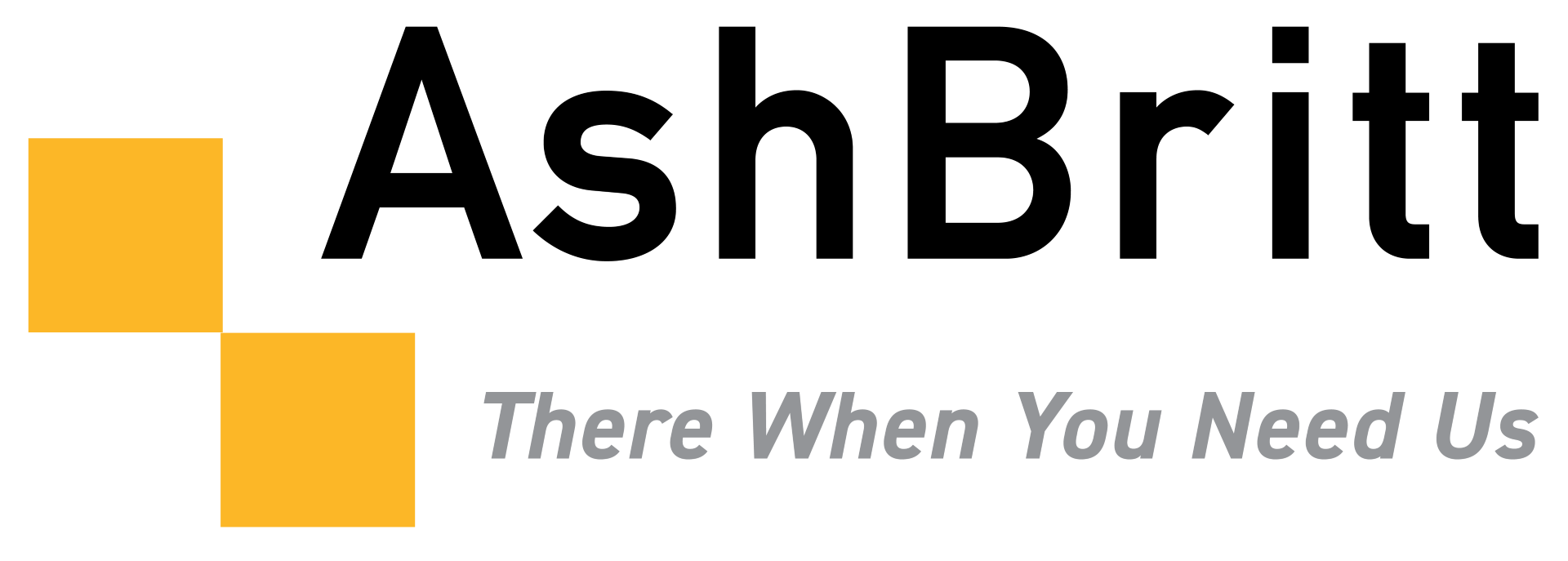 sponsors_chairman:platinum_sponsor_name